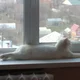 Аватар пользователя S0cial.dead