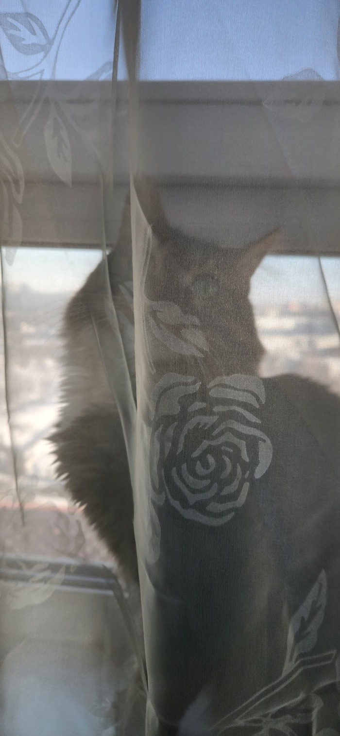 ���������� ������� #227