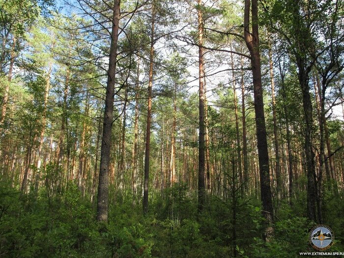 ���� ������ � ���� ������. � �������. ������ ��� ������.