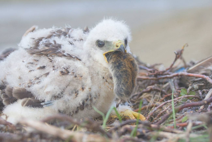 ���, �� ������ ���� ������� � � �� ��������!