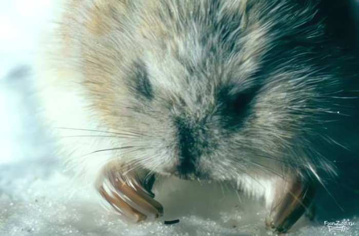 ��� ����, ����� �� ������ � ��������, � �� ���� �� ������� ���� ������������� �������, ��� �� ������� �� ������.