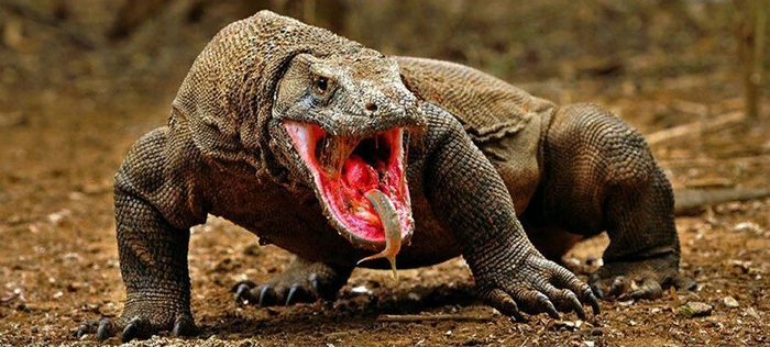 ����� ���� ������� ����� � ��� ����� ��������� �����.