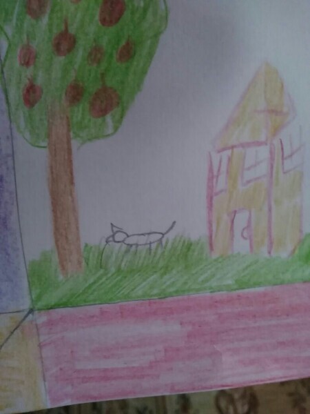 ��� ������� ������ ��������