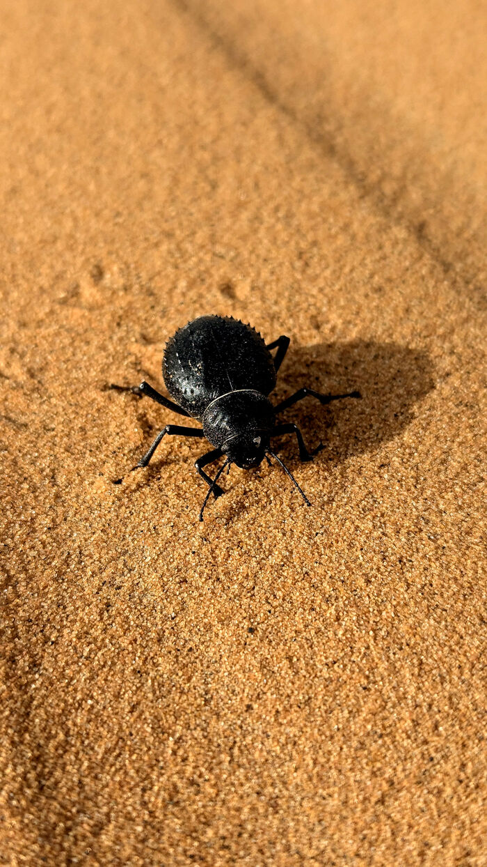 ��� � ������� ���������� �������.