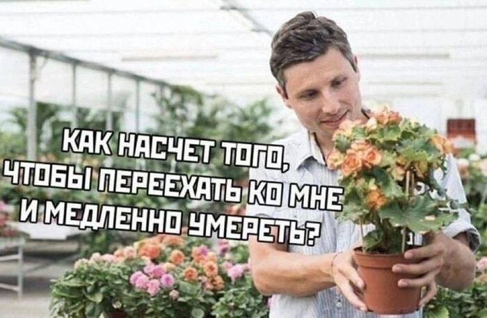 ��� ������ ����� � ����, � ��������� 😭