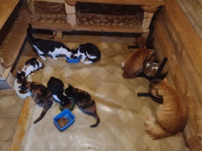 ��� ����� ������ ��� ������, ���������� �� 8 ��� ��� � ������)