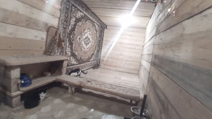 ���� �� �����)