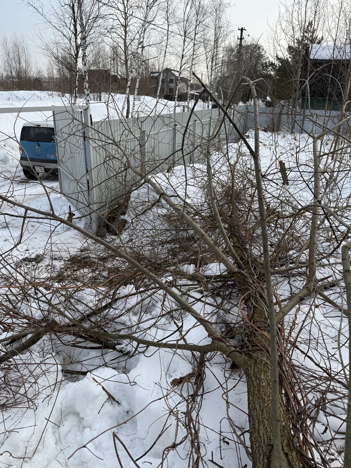 ���������� ������� ����� ������� ������ �� ������� ���� ������� �������