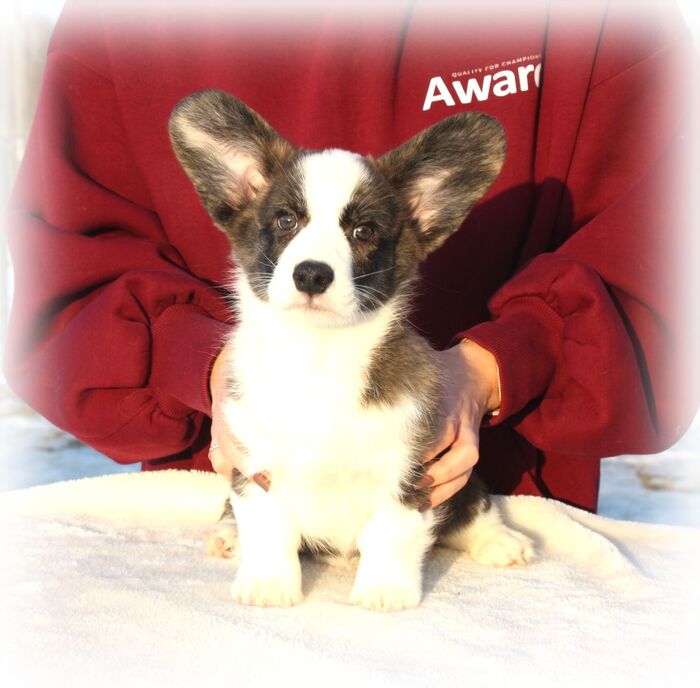 Его зовут Мороз