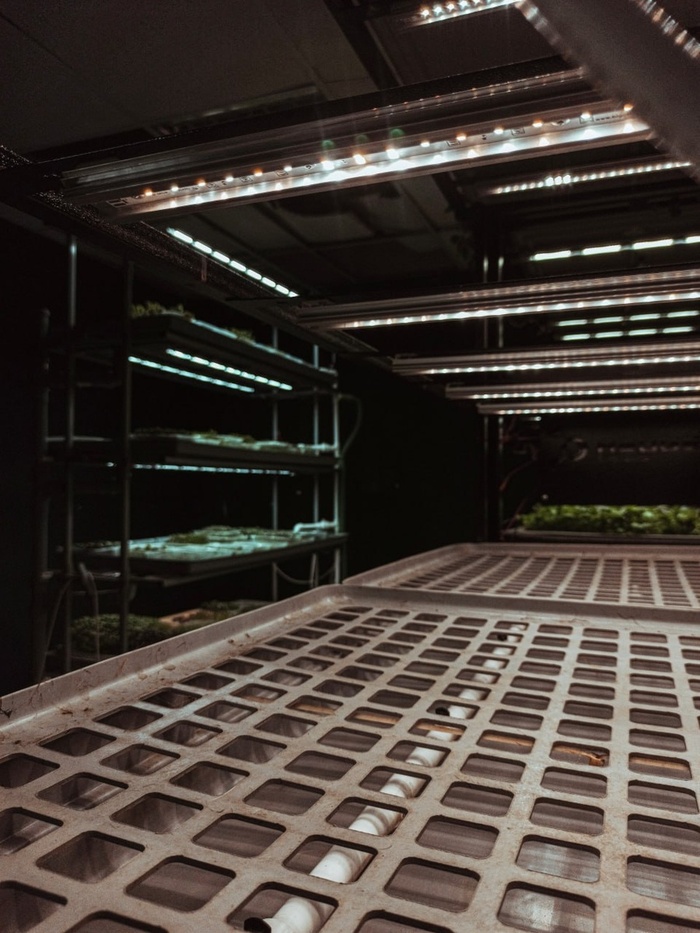 ������ �� ����������� �� ������� ��� ����������