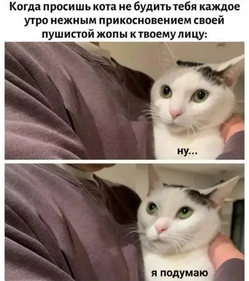 �� ������ �� ������