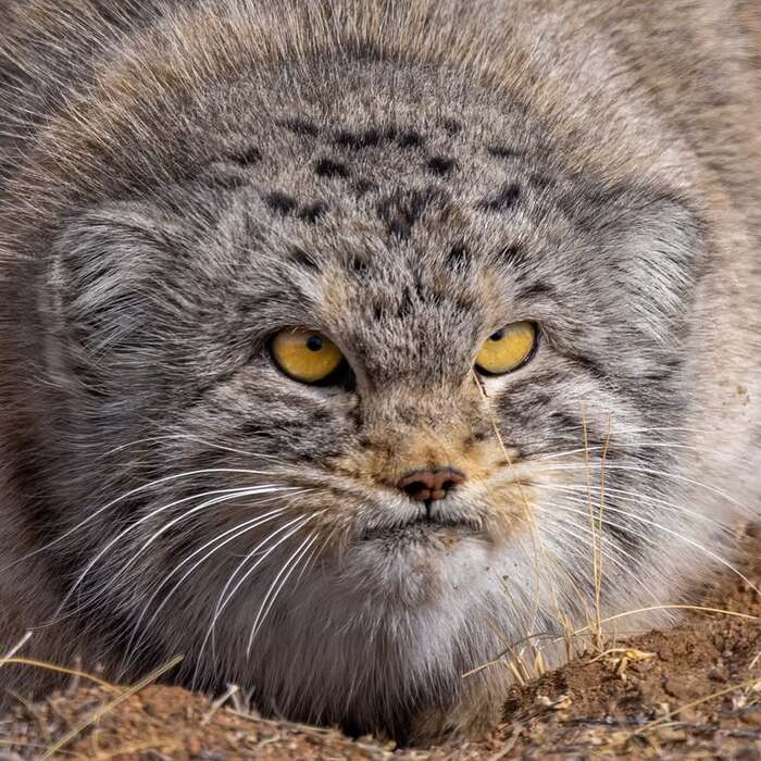 �� ������ �� ��� ����������, �������