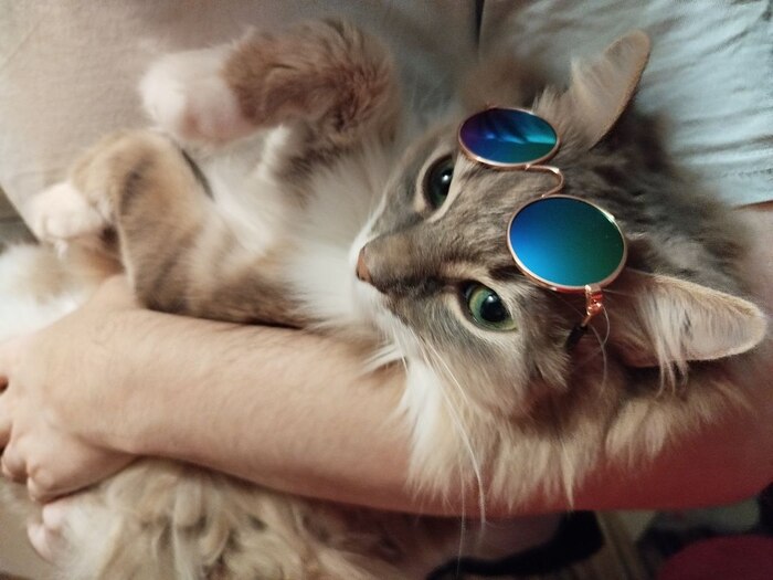 ������ ����� ������������