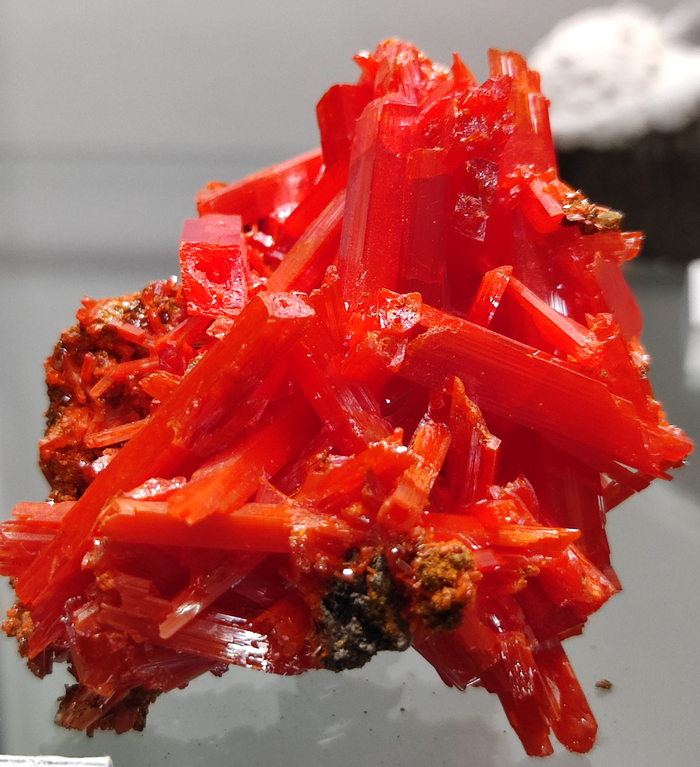 ��������