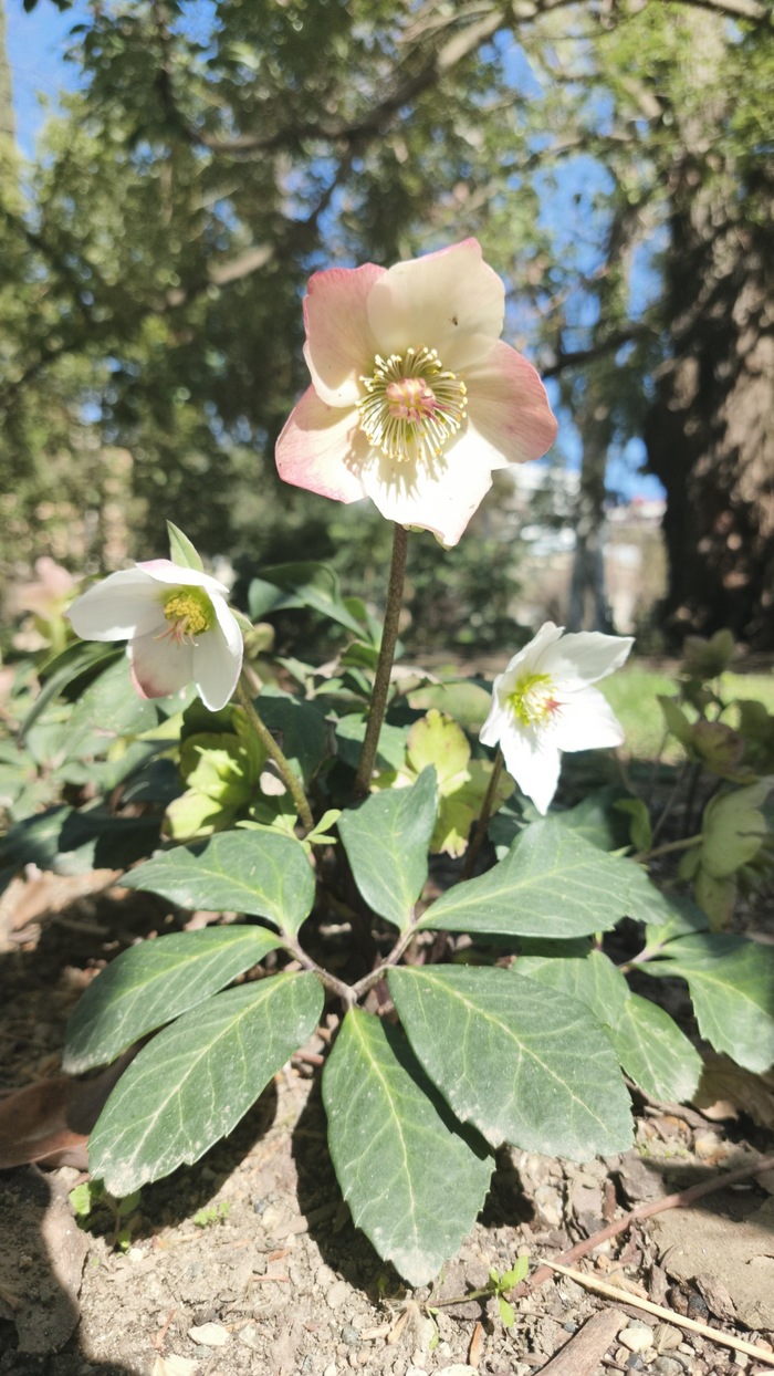 �������� ����������