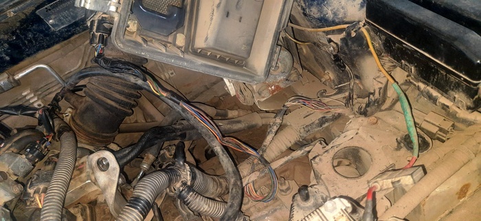 ����� ������� � ����� ����� ����