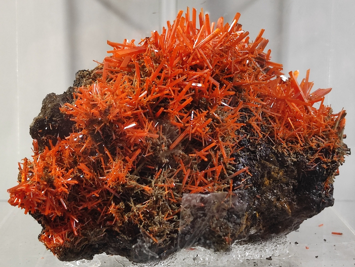 ��������