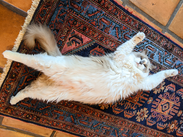 ��������� ������� ����� � ���������� ���������� � ����������� ����, ������ �������� �� ������ �� ���� ������.