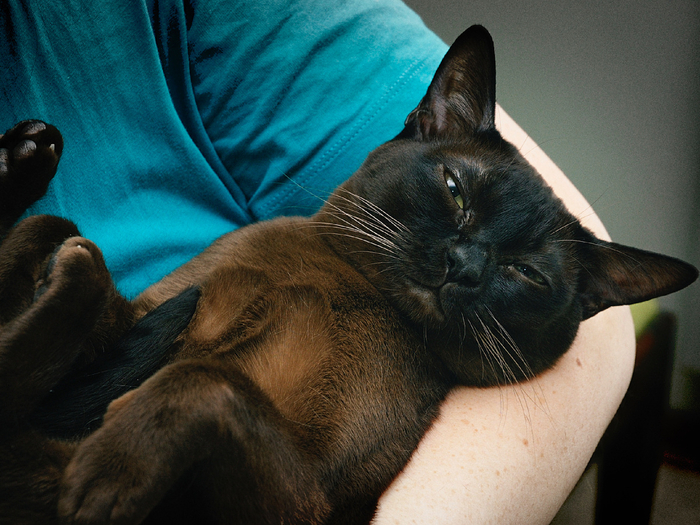 ����, ���� � ���� � ����� �������.