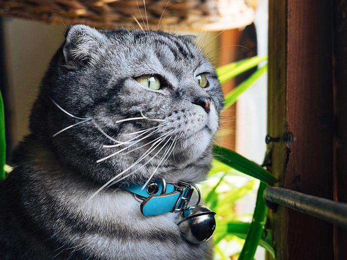 �� ������ � � ����� �����.