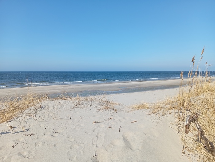 ��� ����� ��� ����� �� ���� �������