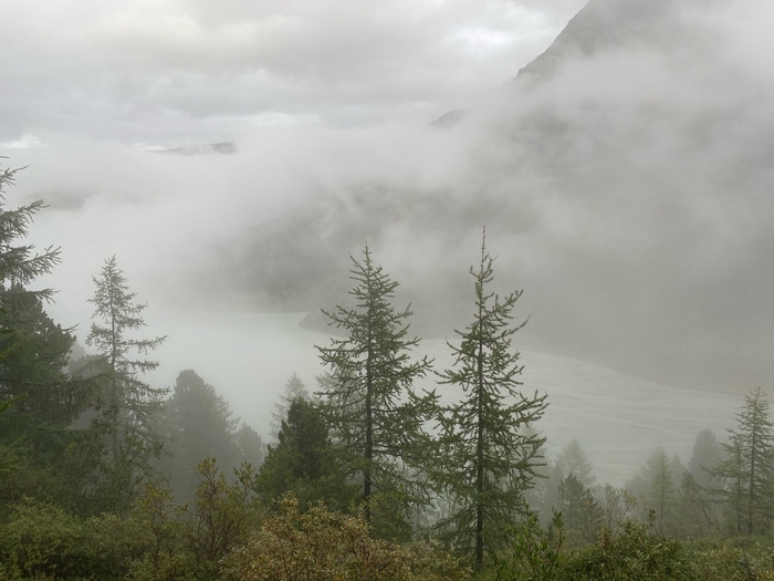 ��������� �����