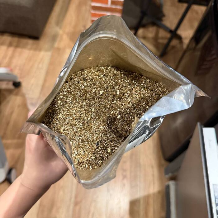 Перлит для рассады больше не использую. Рассказываю, как вермикулит помог вырастить крепкие томаты, перец и баклажаны