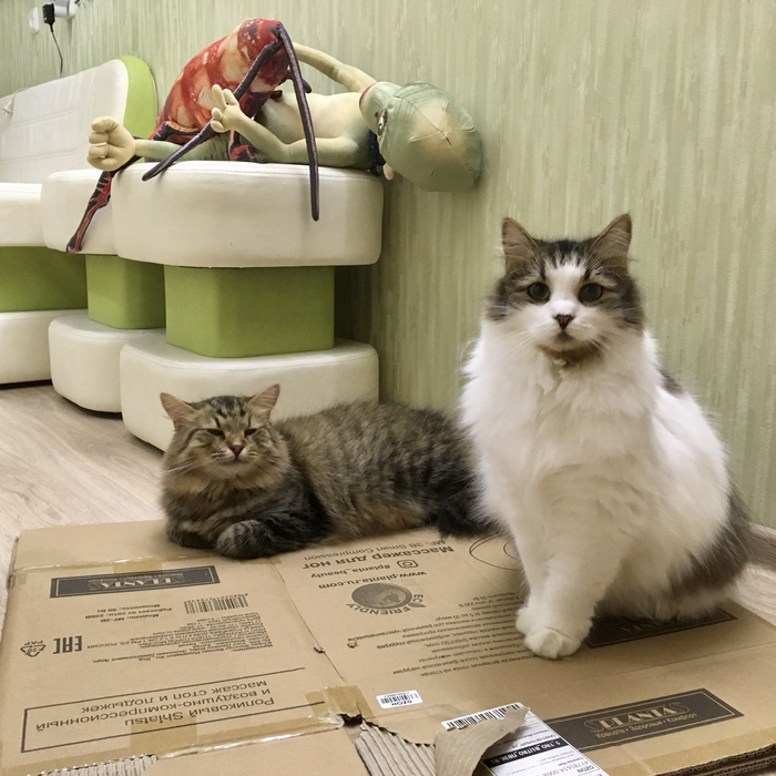 ���, ����� � �����