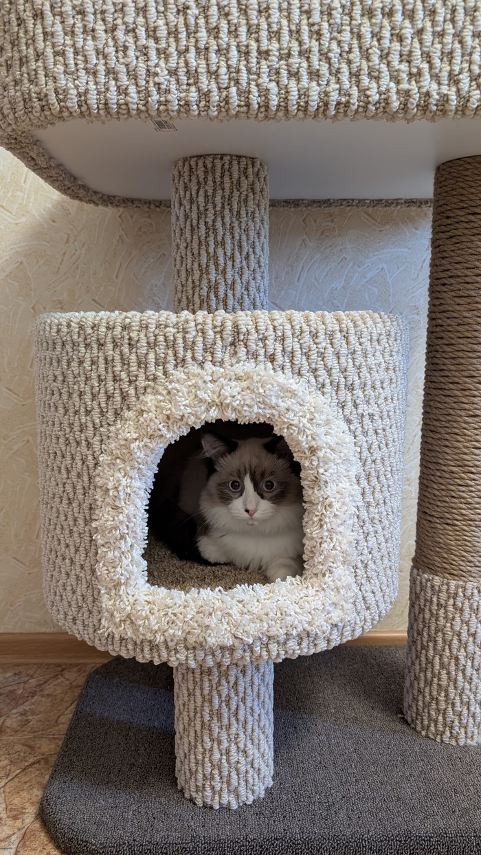 ���������. ����� ���������� �������, ������ � ������ �� �������