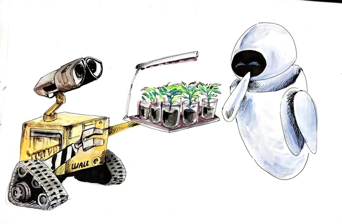 ���������� �������