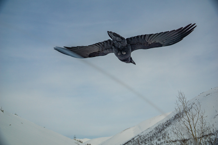 ����� ����� ���� ����� � ����������. �������� ������ � ������� ����. �� ���� - �����.. 