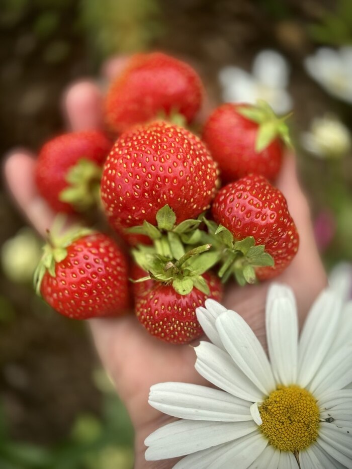 ����� ���� � ����? �������� � ��������