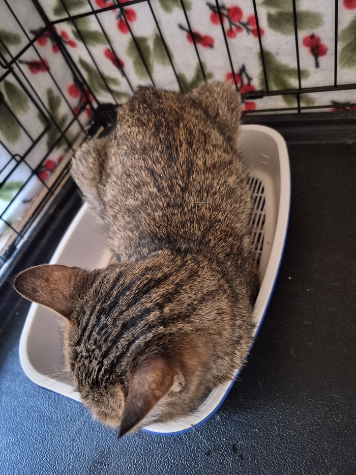 ������ ��� ��� ��������, ���� ������ ��� ������.