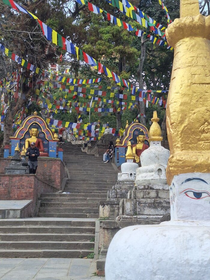 �������� �� 365 �������� � ����� �����������.