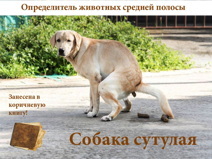 ����� �����������