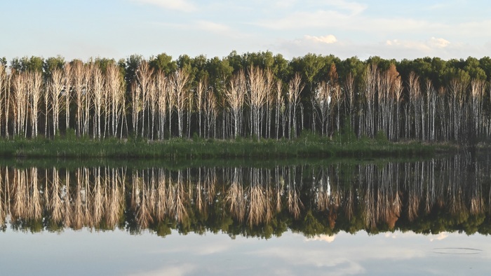 �������� ��������� #2, ���-�� � ������ ����� ��������� � ������������. 