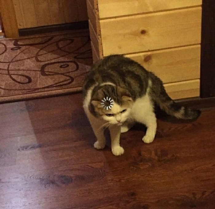 � �������� 3 ���� ������� ������, ��� �� ������ �� ���� ������ �����