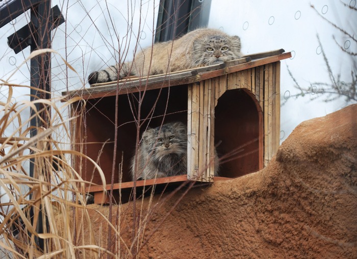 ����� �� ���� �������