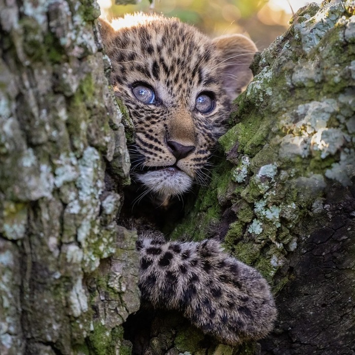 Мне интересно...