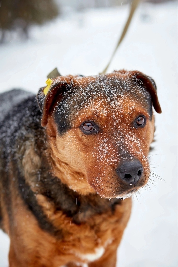 ������ � ������ ���� ���� ���� ���