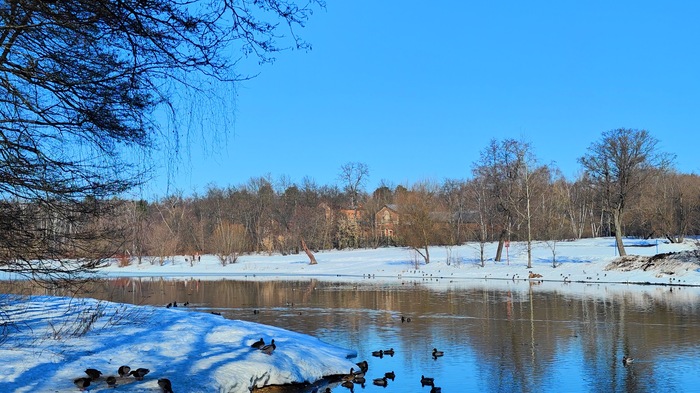 верхний пруд, ветхие, заросшие, но живописные старинные постройки