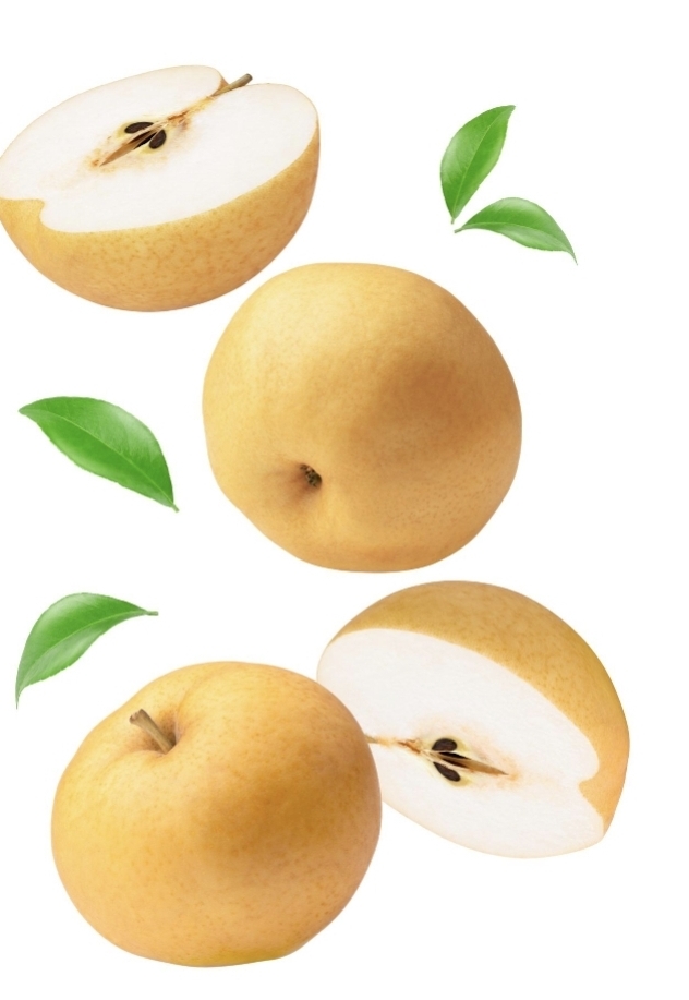 ����� ���������(����)