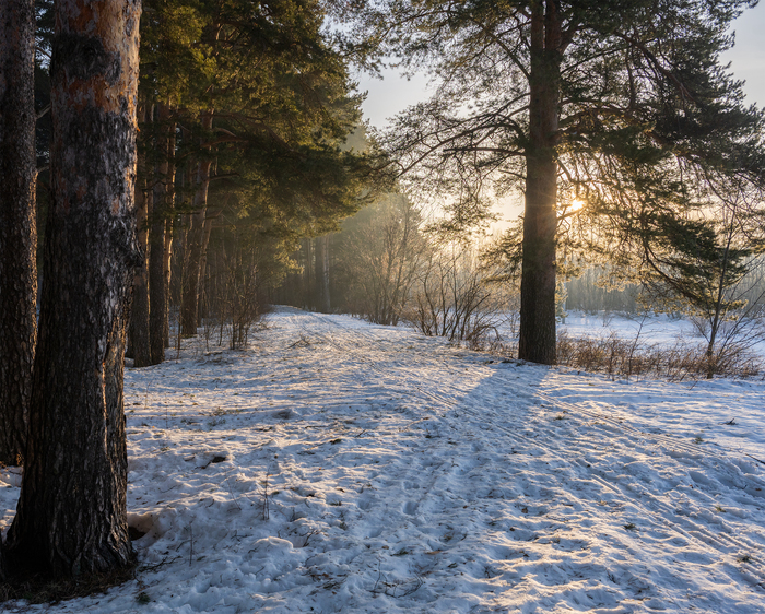 Лучи мартовского солнца в Заречном парке