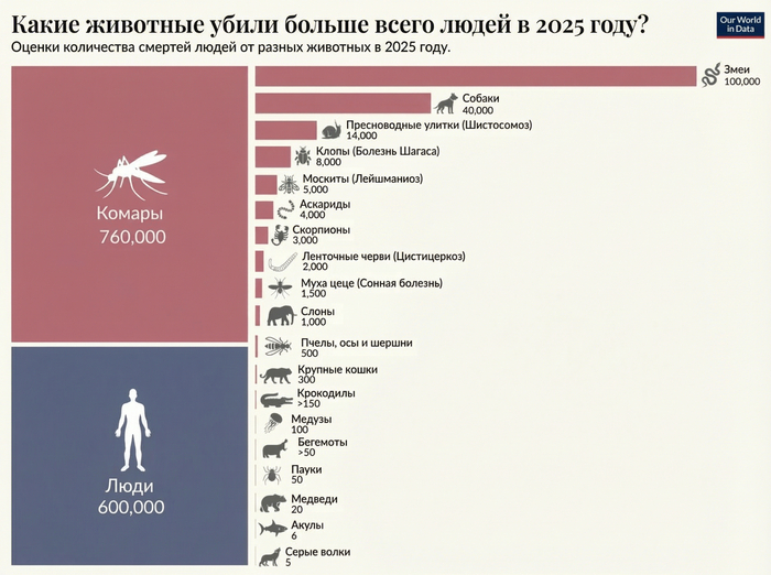 ����� �������� ����� ������ ����� ����� � 2025 ����