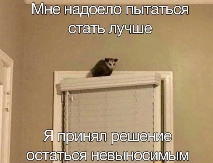 ������� ��������� ��������