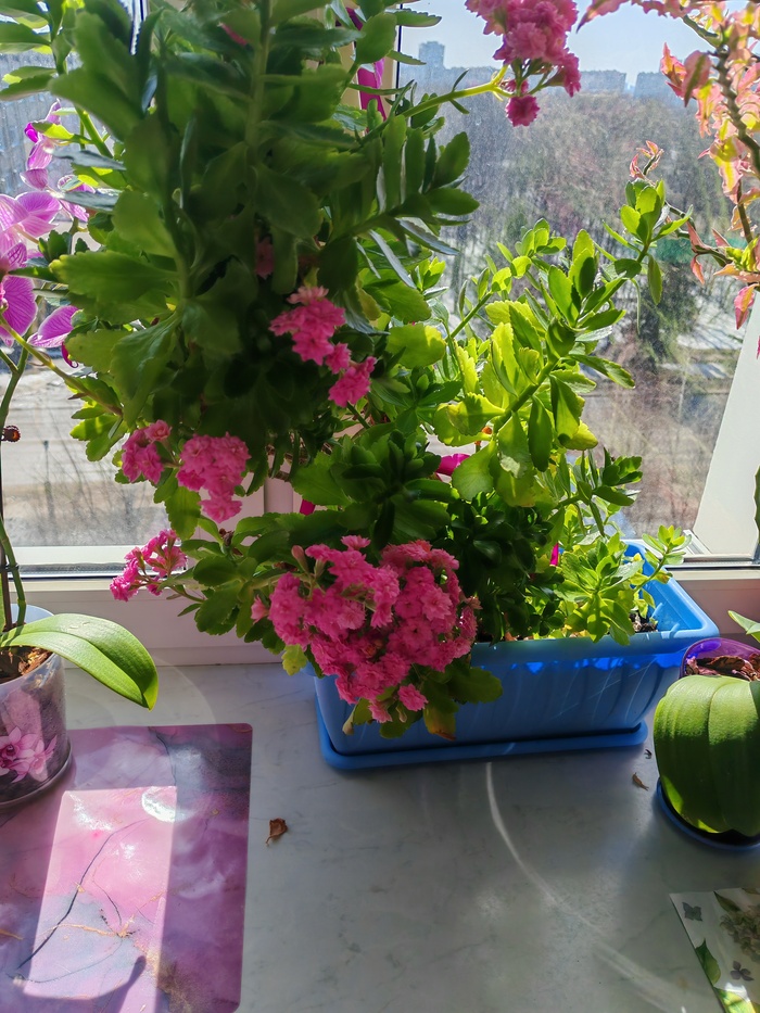 ������ ��������� � ��� �������� ������