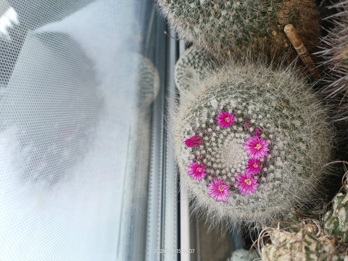 ��������...