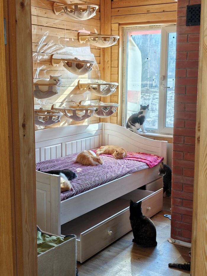 �����������