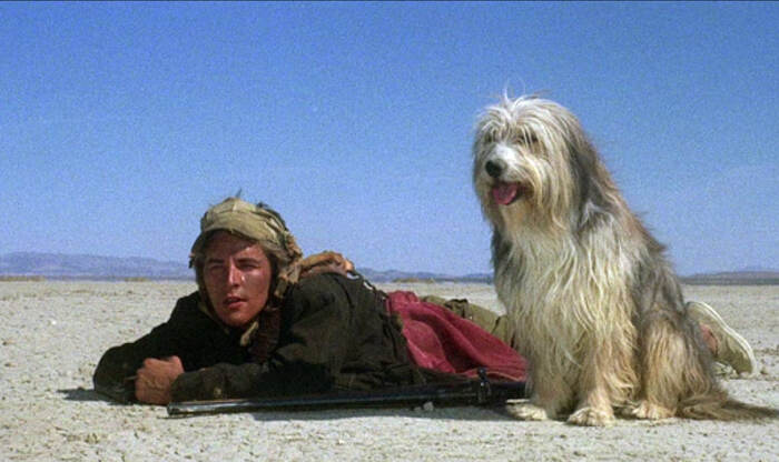 ��� � ������ � ������� ���������� �������, � ����� ���� ����� ������� �����, ��� ����� ��������� ��������