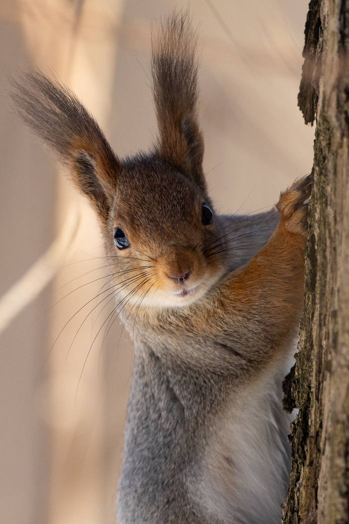 ������������� �����